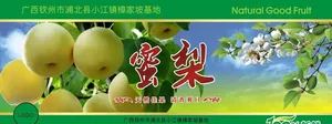 蜜梨包装图片