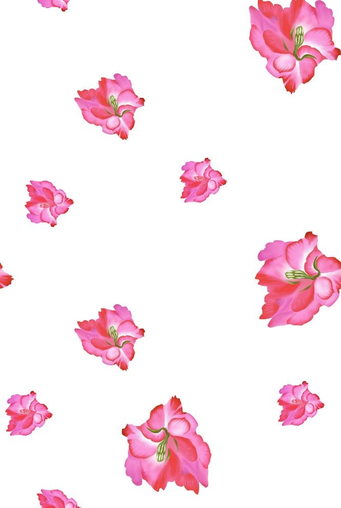 小花图片(1772x2723)