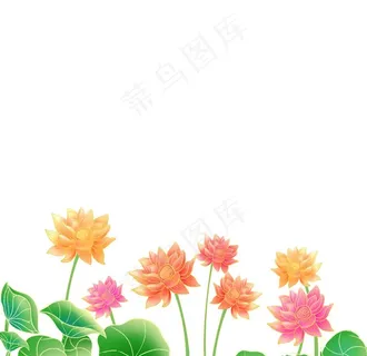 插画卡通荷花元素图片 插画卡通荷花元素图片