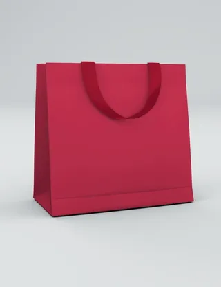 手提袋样机  图片