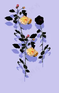玫瑰花图片 玫瑰花图片