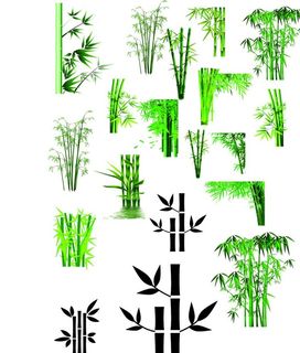 竹子元素图片