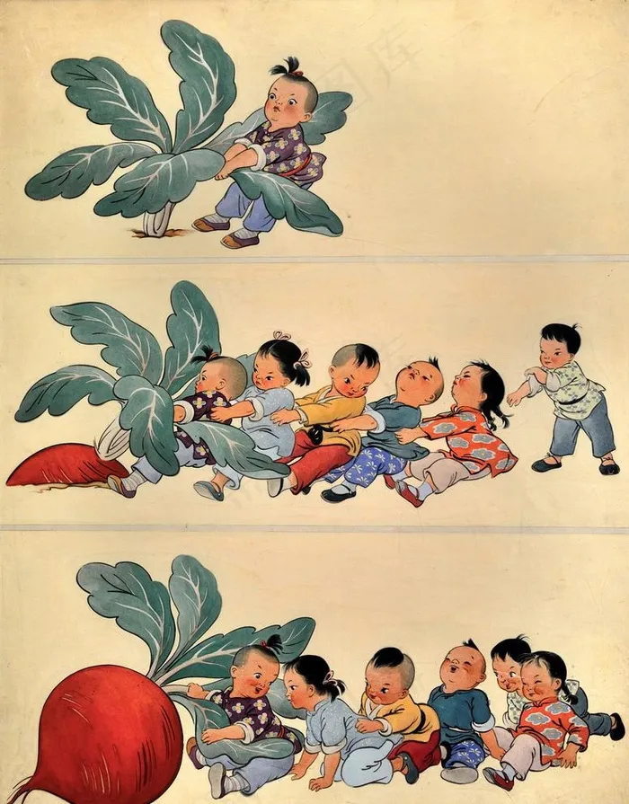 拔萝卜图片