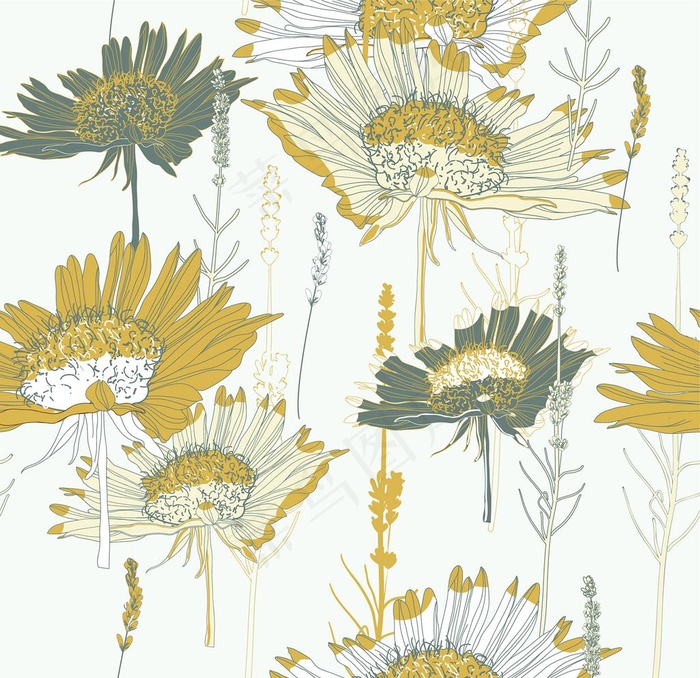 菊花手绘白描图片