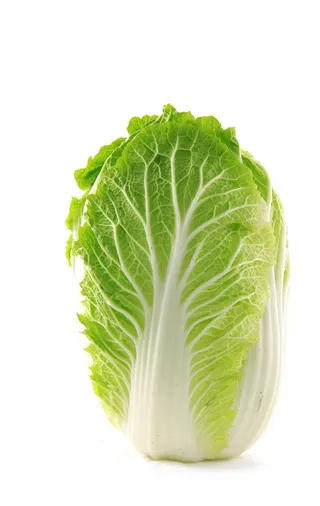 大白菜图片
