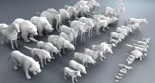 C4D模型地面体小动物卡通图片