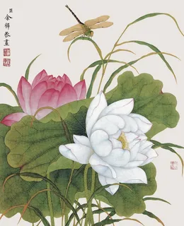 荷花图片 荷花图片