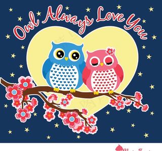梅花情侣猫头鹰图片