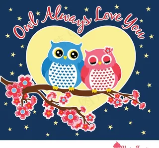 梅花情侣猫头鹰图片