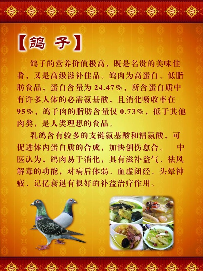 鸽子汤图片(2244x3086)psd模版下载