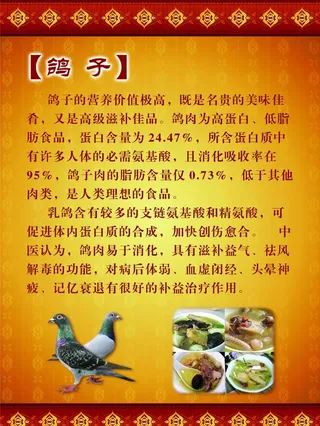 鸽子汤图片