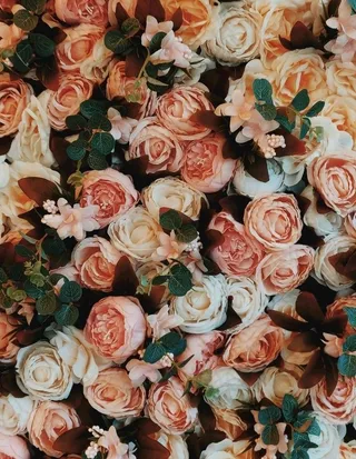 小清新ins风浪漫唯美粉色花朵图片