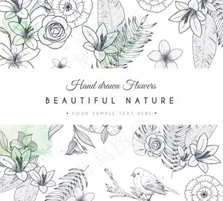 手绘自然花鸟图片