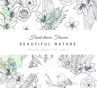 手绘自然花鸟图片