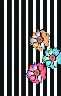 masidat_kassim花图片 masidat_kassim花图片