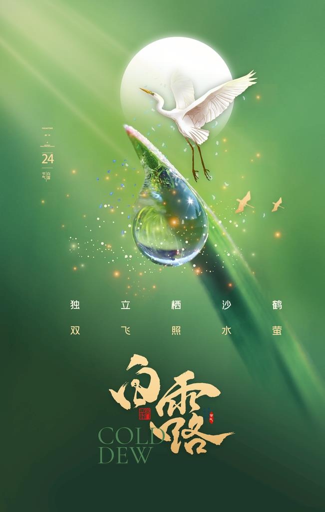 白露图片(2362x3543)psd模版下载