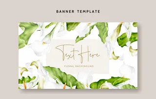 马蹄莲花卉背景图片