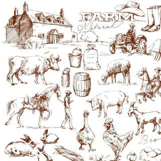 农场家禽家畜图片