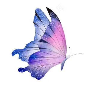 紫色蝴蝶插画图片