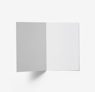 二折页样机图片