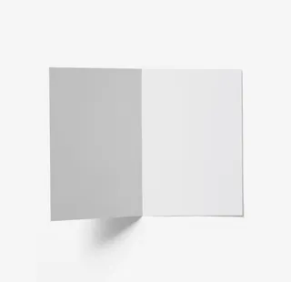 二折页样机图片