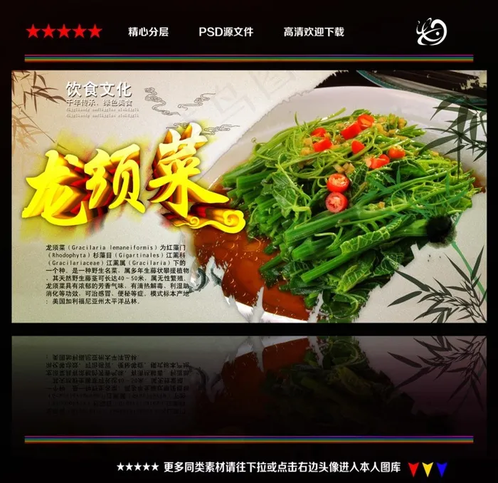 龙须菜图片psd模版下载