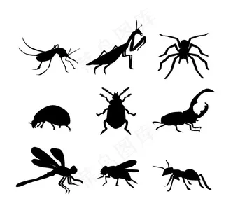 昆虫剪影图片
