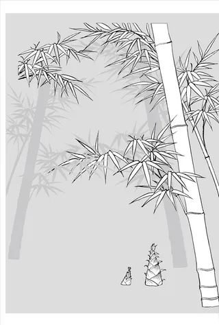线描竹子图片
