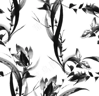 水墨植物黑白图片
