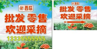 西瓜海报图片