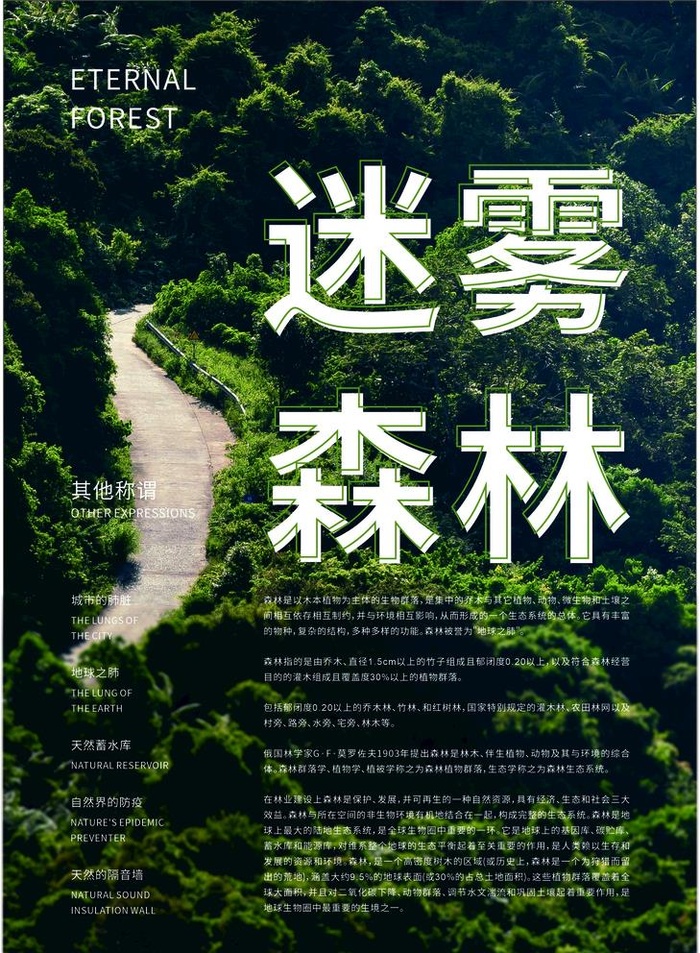 森林图片cdr矢量模版下载