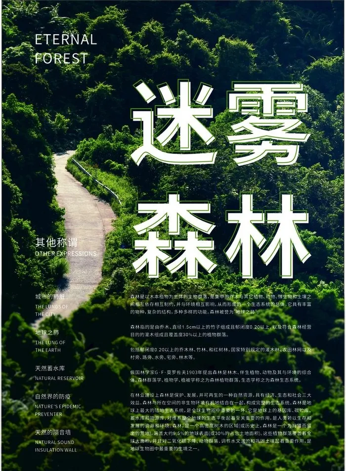 森林图片cdr矢量模版下载