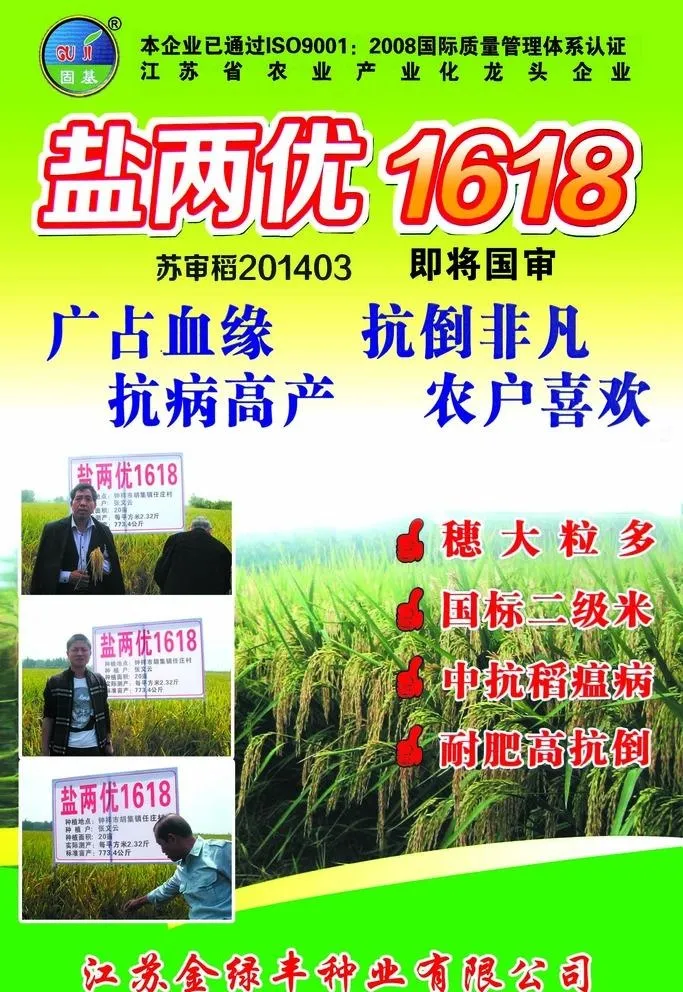 水稻海报宣传图片(1890x2835)psd模版下载