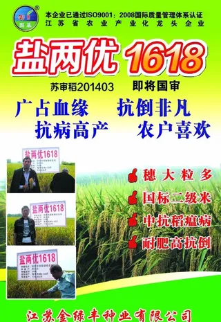 水稻海报宣传图片