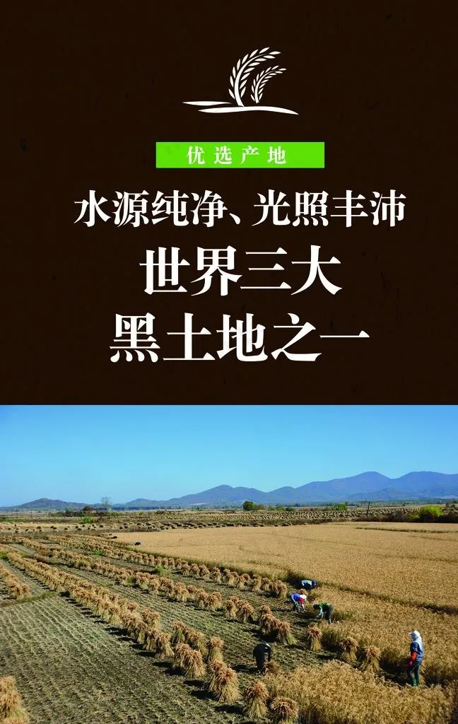 优选产地图片psd模版下载