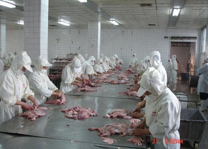 猪肉加工现场图片