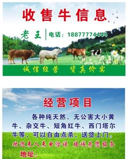 收牛名片图片