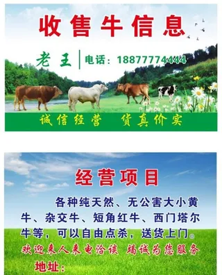 收牛名片图片