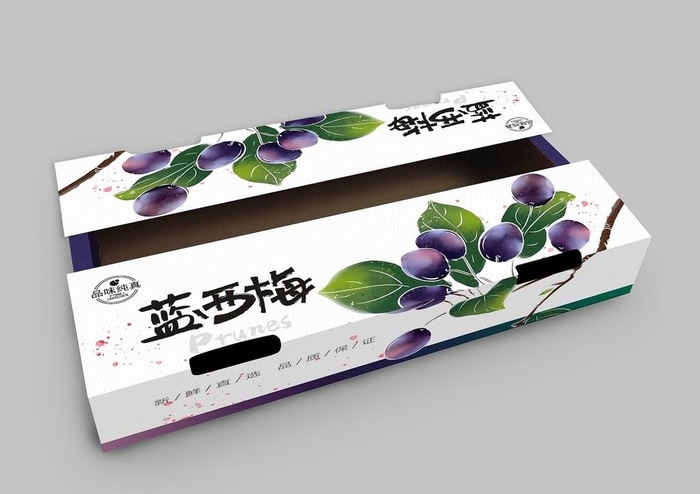 西梅包装设计图片cdr矢量模版下载