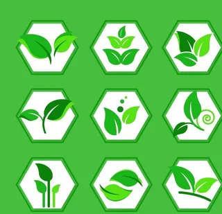 绿叶图标矢量素材图片