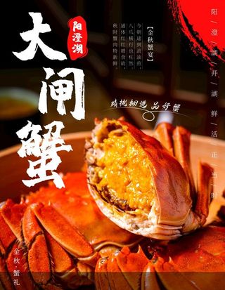 大闸蟹图片