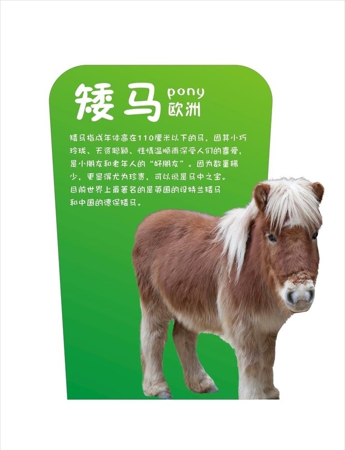 矮马图片cdr矢量模版下载