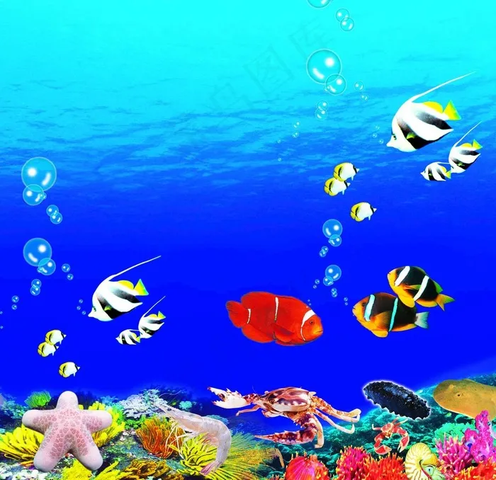 海洋图片psd模版下载