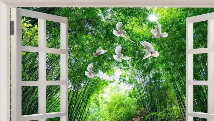 假窗竹林风景图片