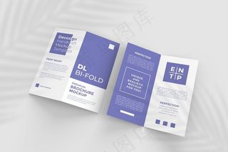 册子折页样机图片