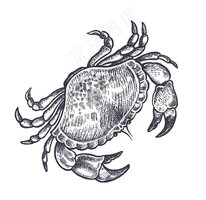 餐饮食物插画元素图片eps,ai矢量模版下载