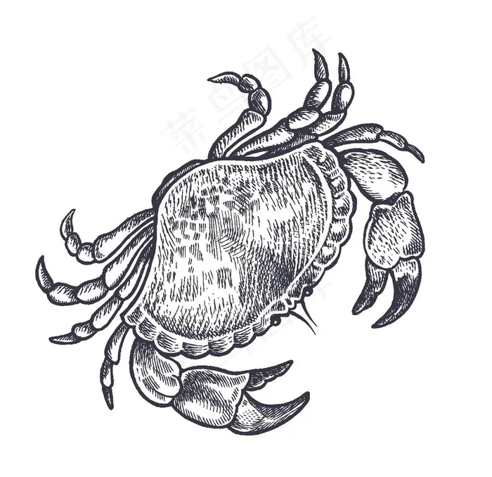 餐饮食物插画元素图片