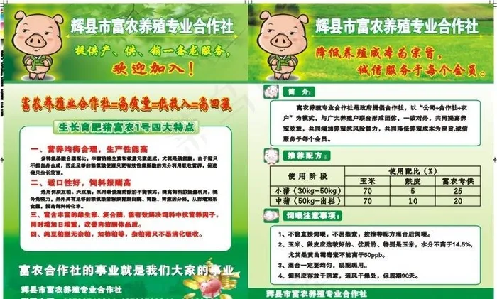 小猪养殖图片cdr矢量模版下载