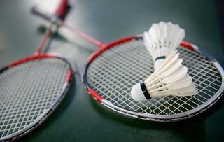 羽毛球图片