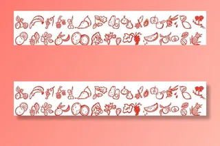 植物果实  种子 水果  干果图片